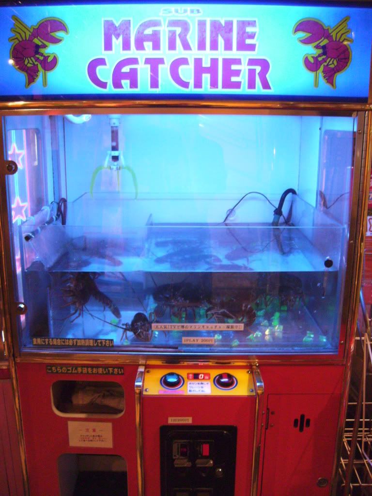 Automatic Fish Catcher