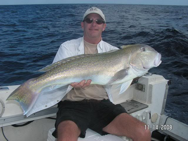 Gulf Golden Tilefish  Pensacola Fishing Forum