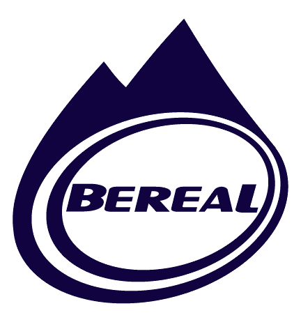 Bereal-Ultimate.gif