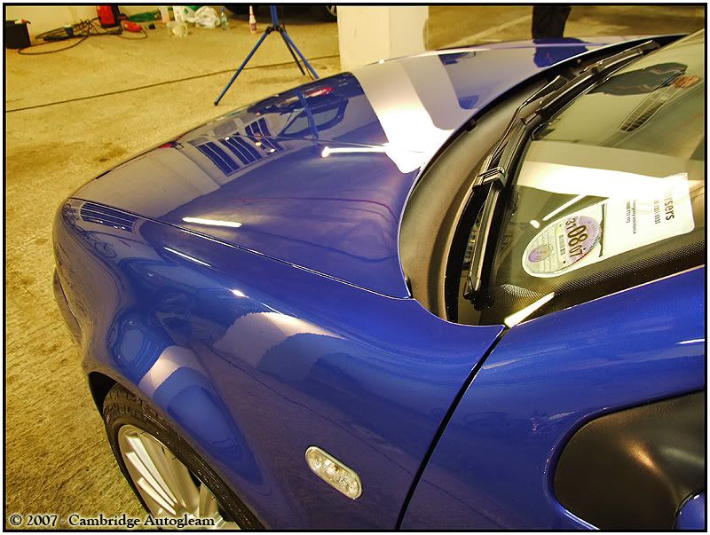 DavidsR324.jpg