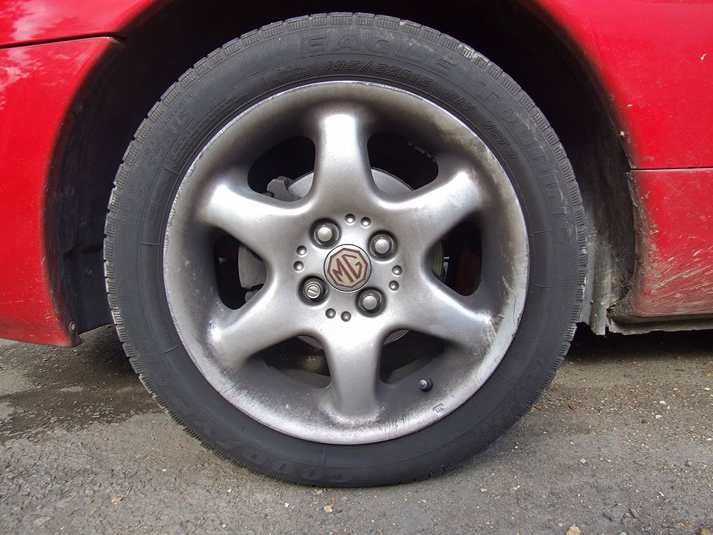 ReneMGF1.jpg