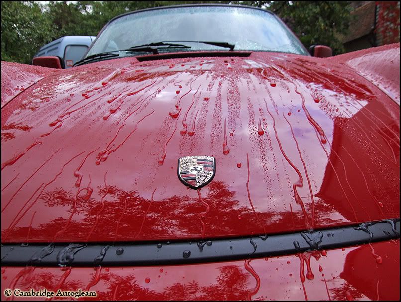 Steves91116.jpg