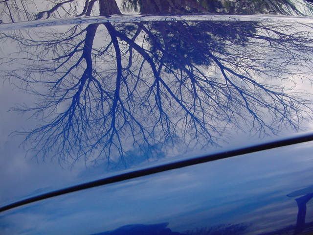 DSC00065.jpg