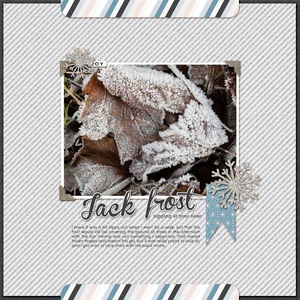 photo kdpco_131202_lindaroos_jackfrost.jpg