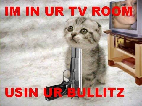 in-ur-tv-room.jpg