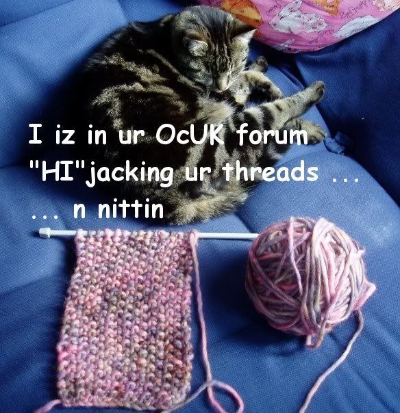 threadcat.jpg
