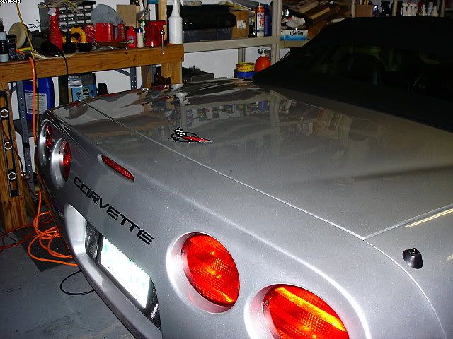 DSC00833.jpg