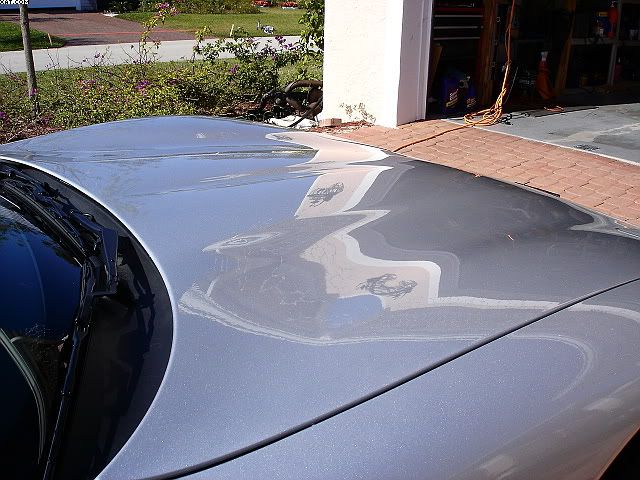 DSC00853.jpg