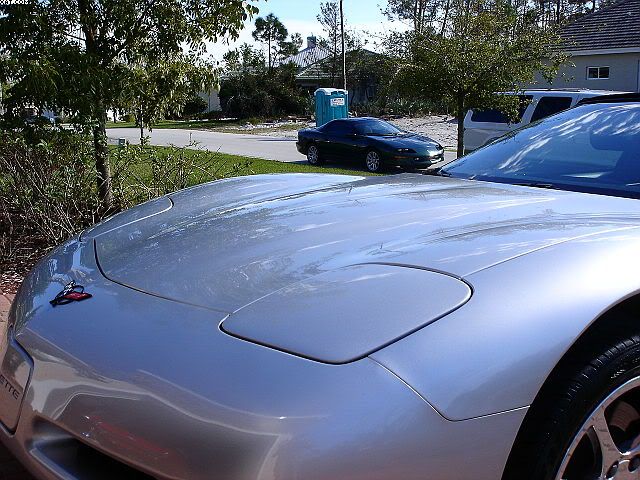 DSC00864.jpg