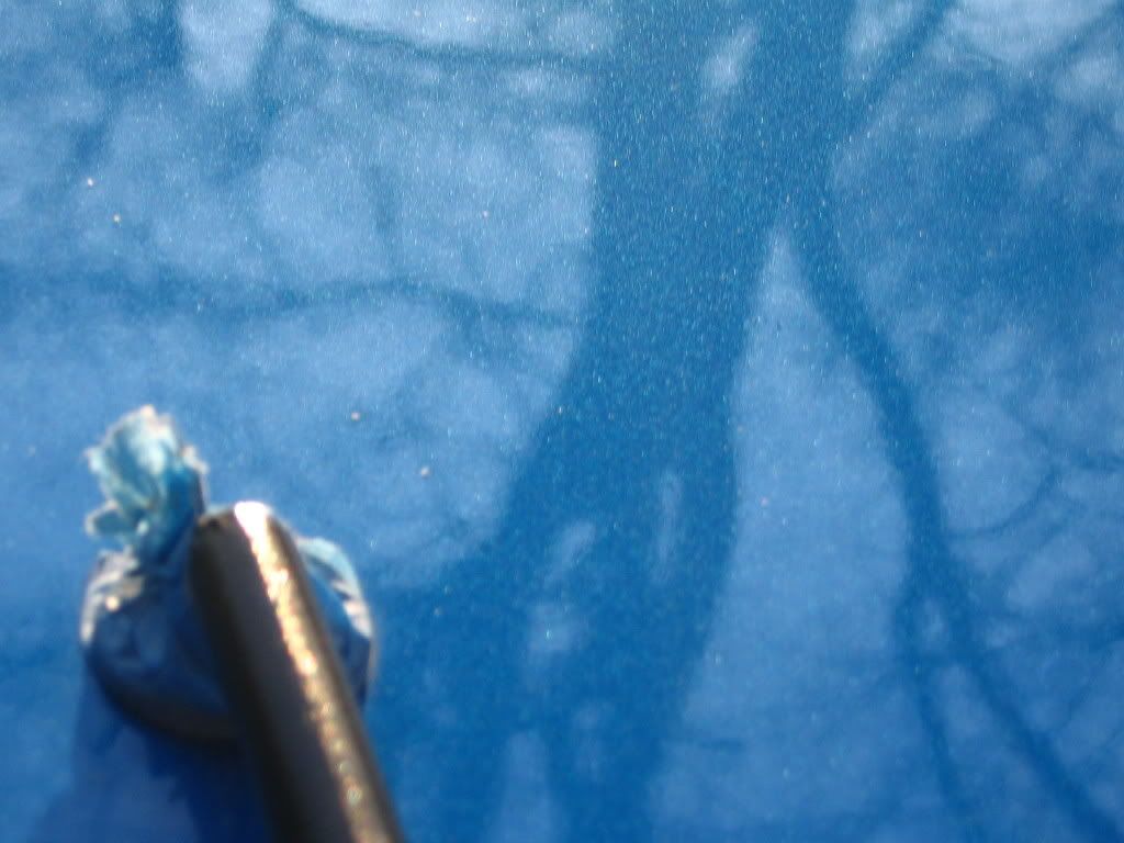 Picture017.jpg