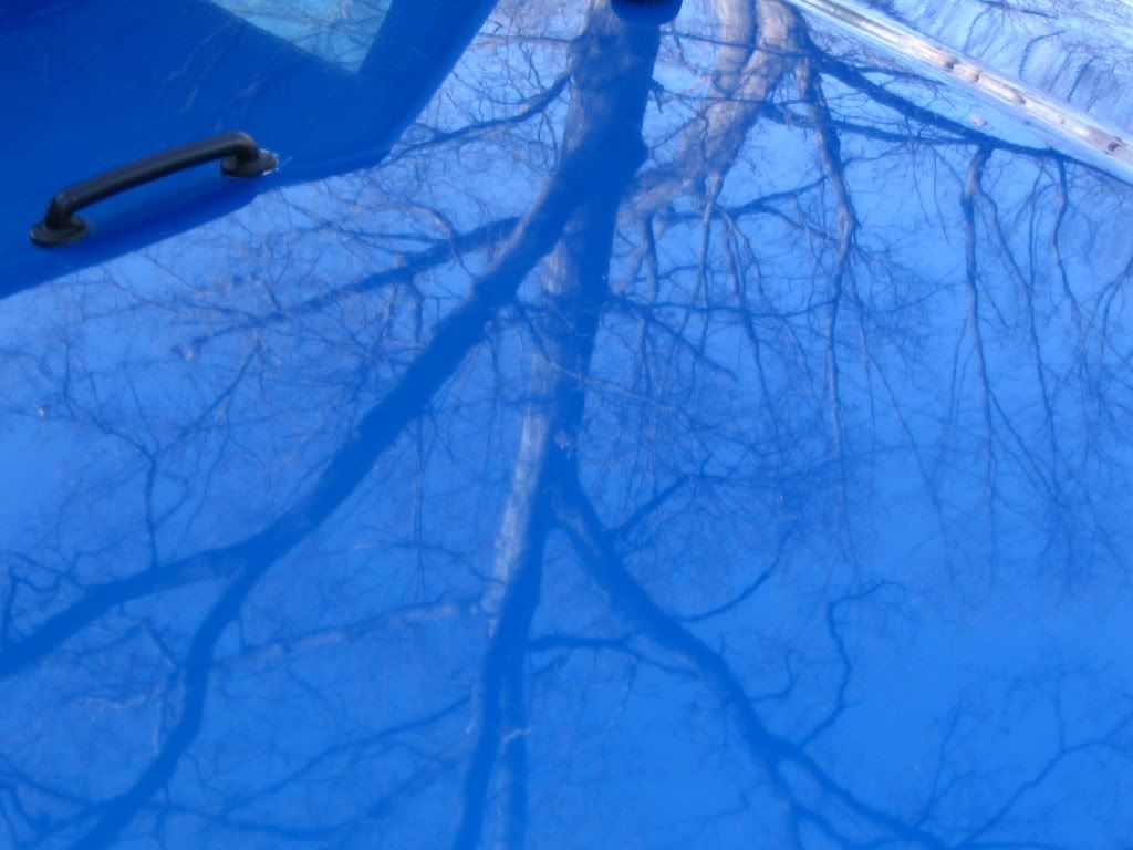 Picture032.jpg