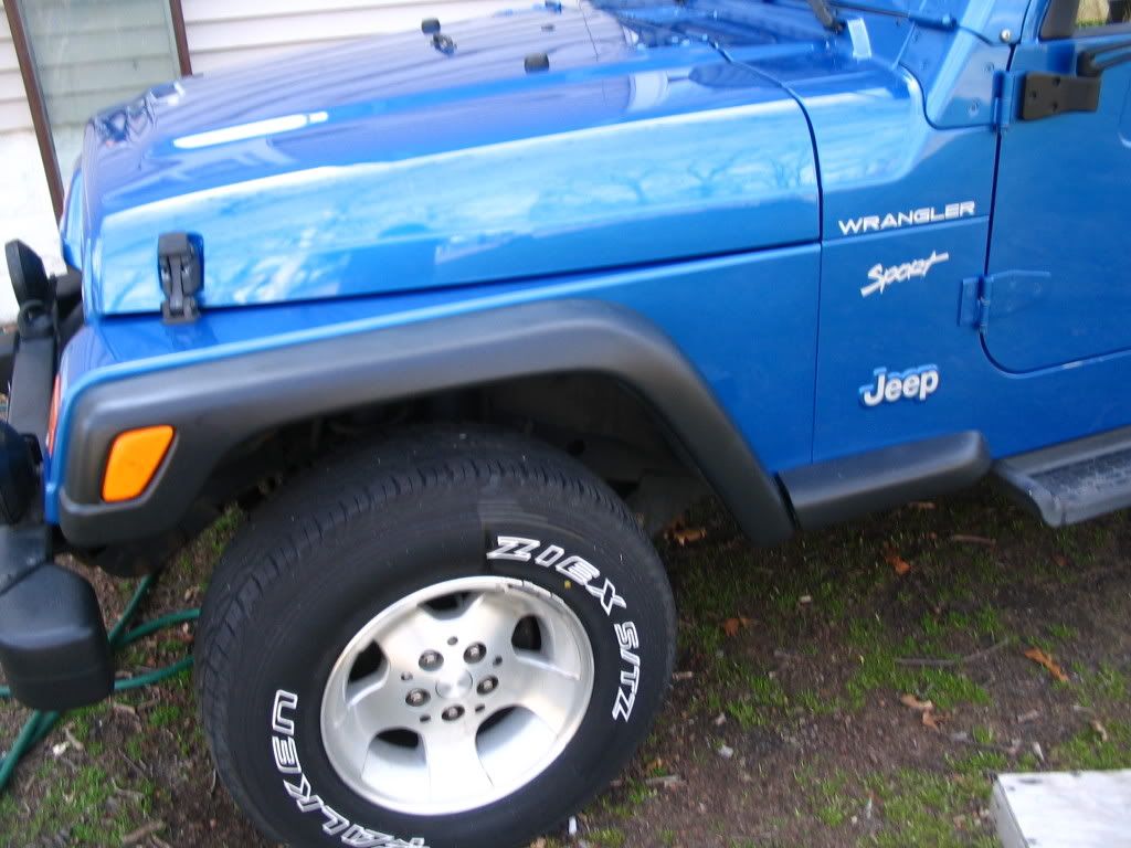 Picture033.jpg