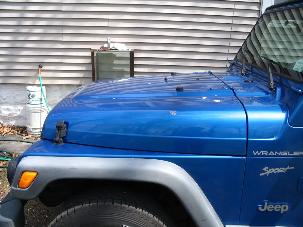 Picture004.jpg