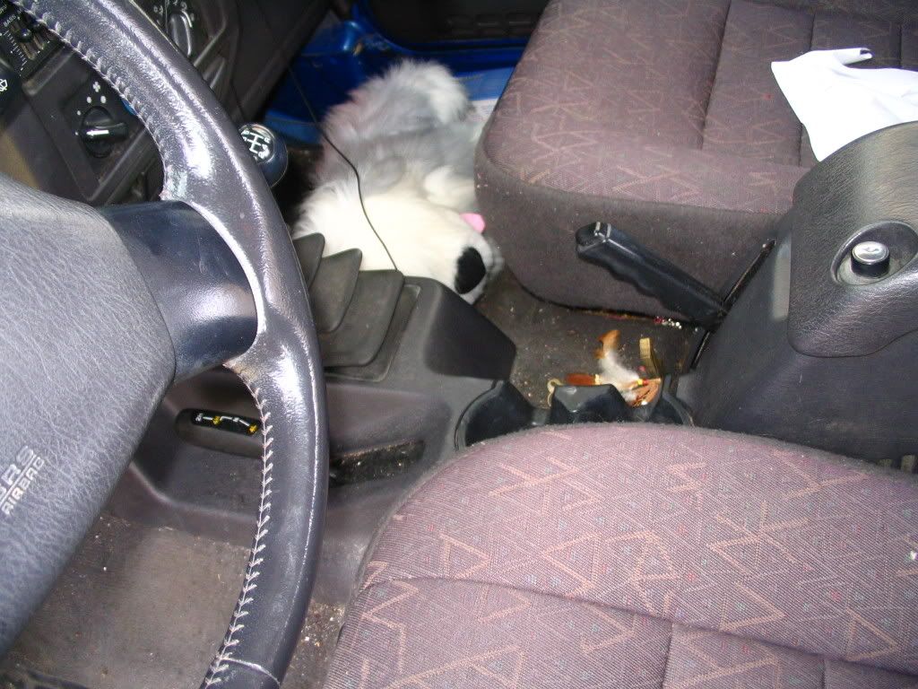 Picture009.jpg