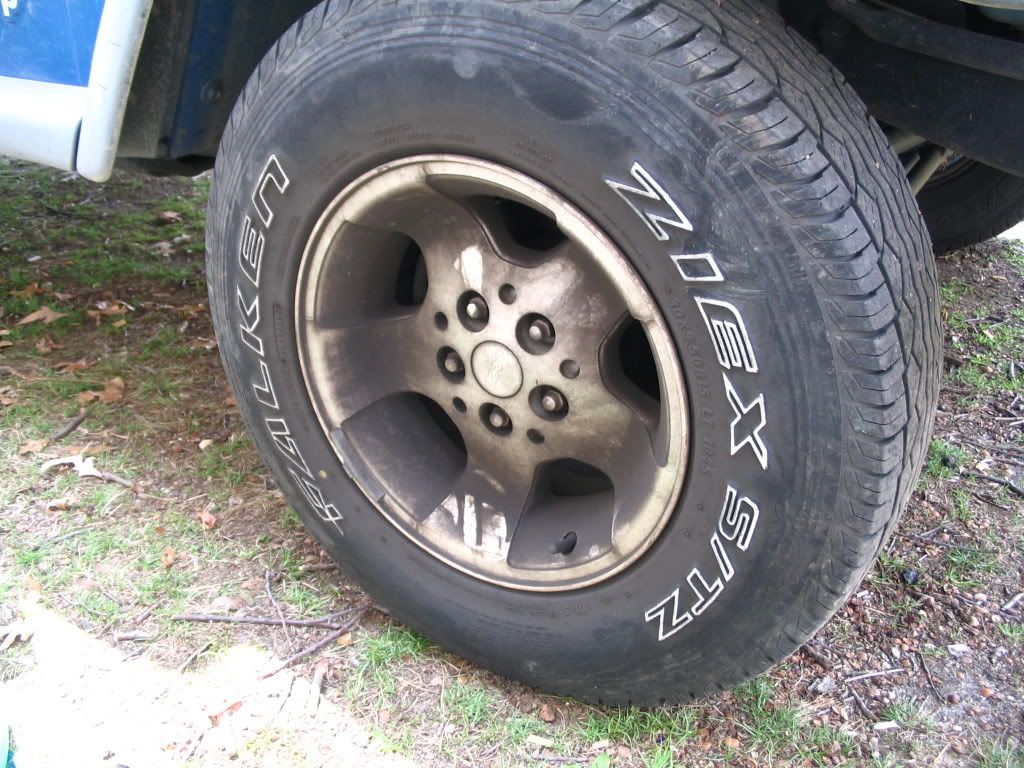 Picture019.jpg