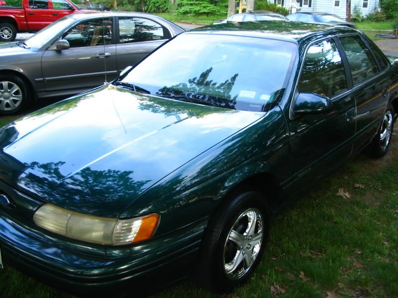 Picture013.jpg