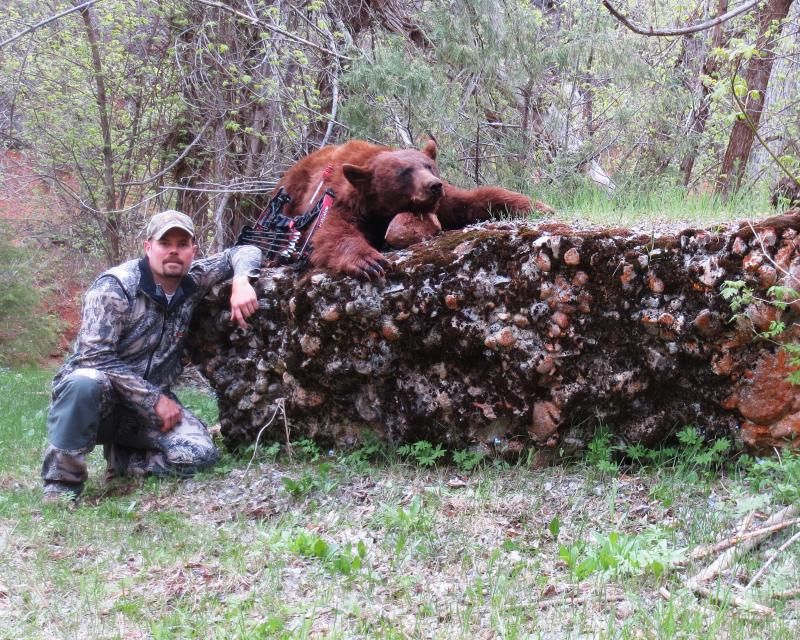 My 2013 Utah Bear Hunt Utah Wildlife Forum