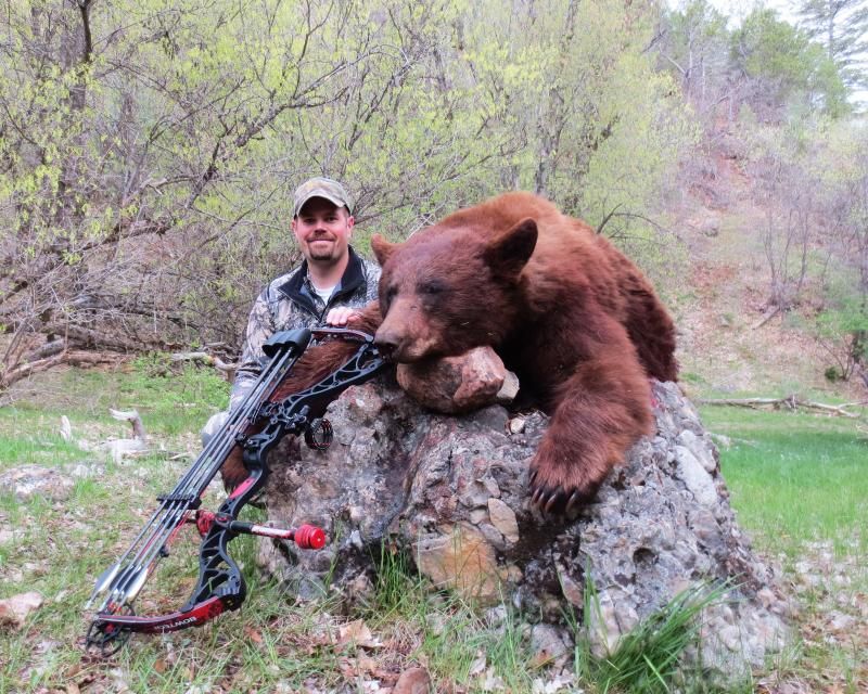 My 2013 Utah Bear Hunt Utah Wildlife Forum