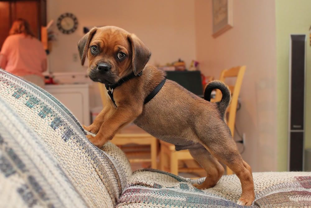 IMAGE: http://img.photobucket.com/albums/v456/XXChris805XX/df8b7e7e.jpg