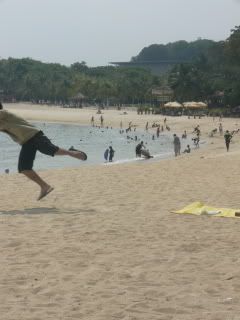 Flying Palawan Beach Monster.
