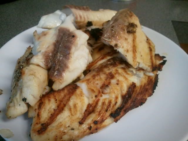 grilled fish