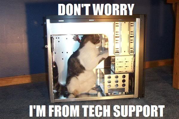 Tech_support_cat.jpg