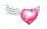 user%20posted%20image