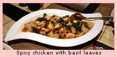 Spicy chicken with basil leaves
