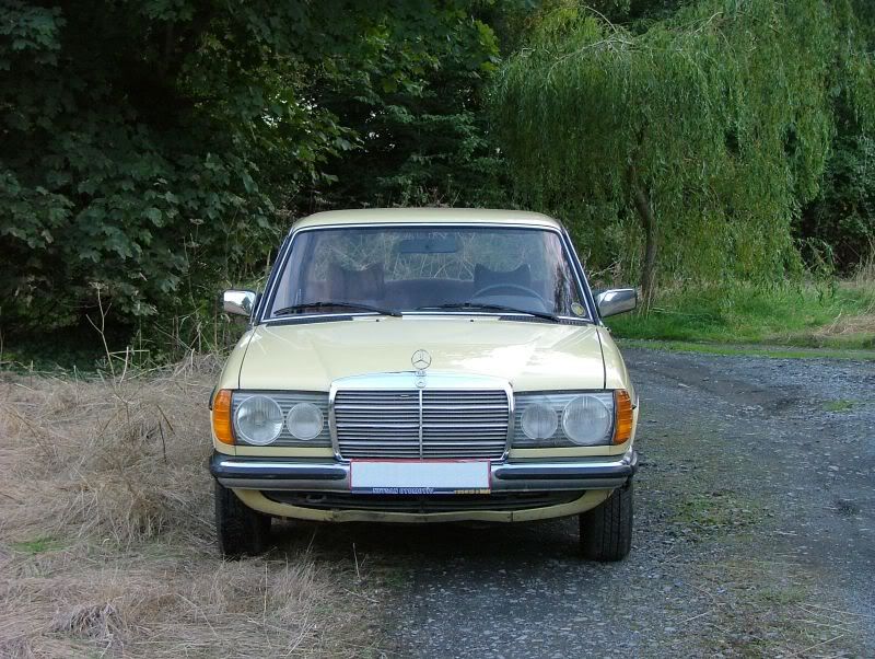 mercedes_230_1979_front.jpg