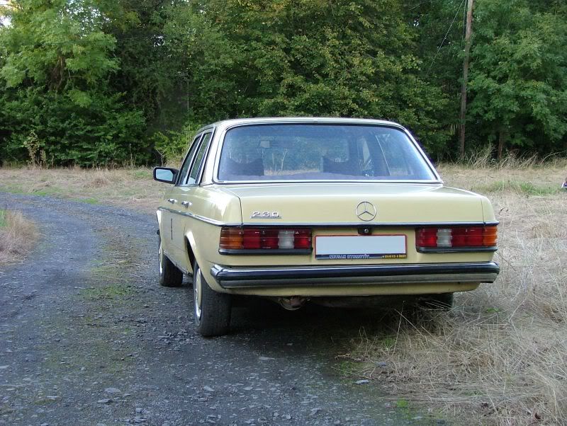 mercedes_230_1979_rear.jpg