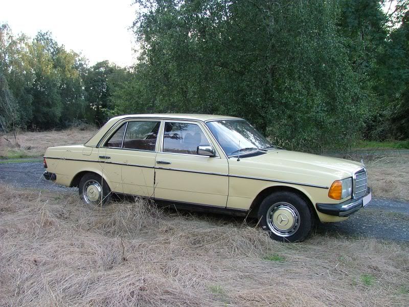 mercedes_230_1979_rhs1.jpg