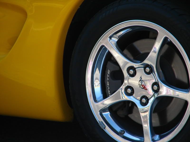 IMAGE: http://img.photobucket.com/albums/v457/Jeremy_Rawe/IMG_3235.jpg