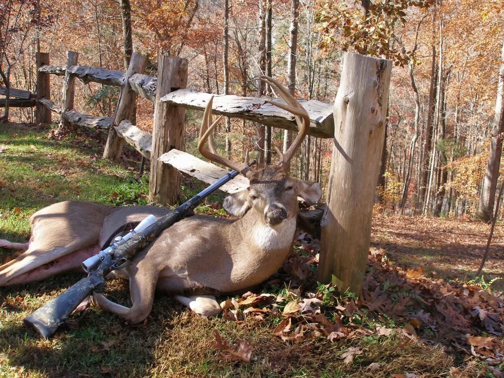 8point014.jpg