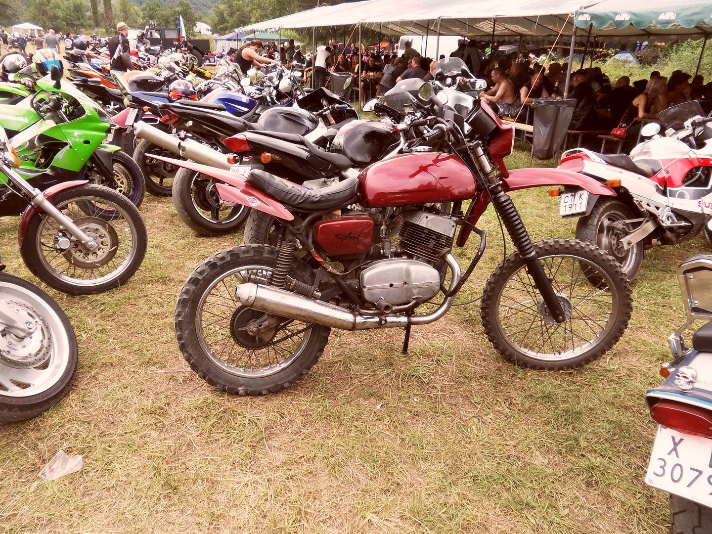 SDC13311.jpg