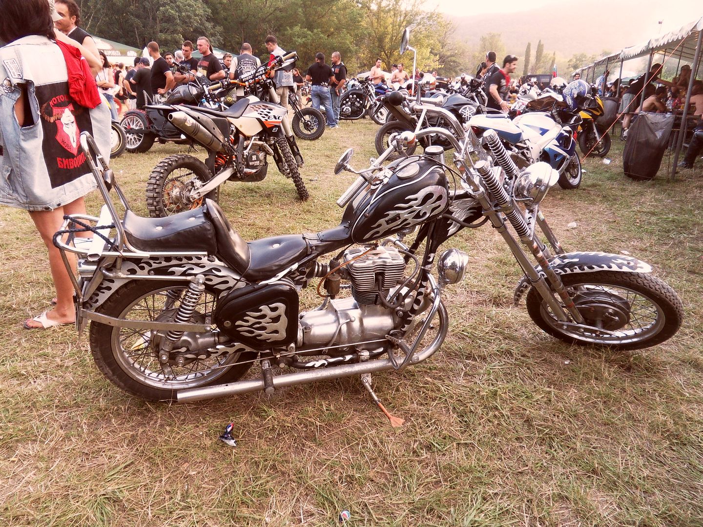SDC13338.jpg