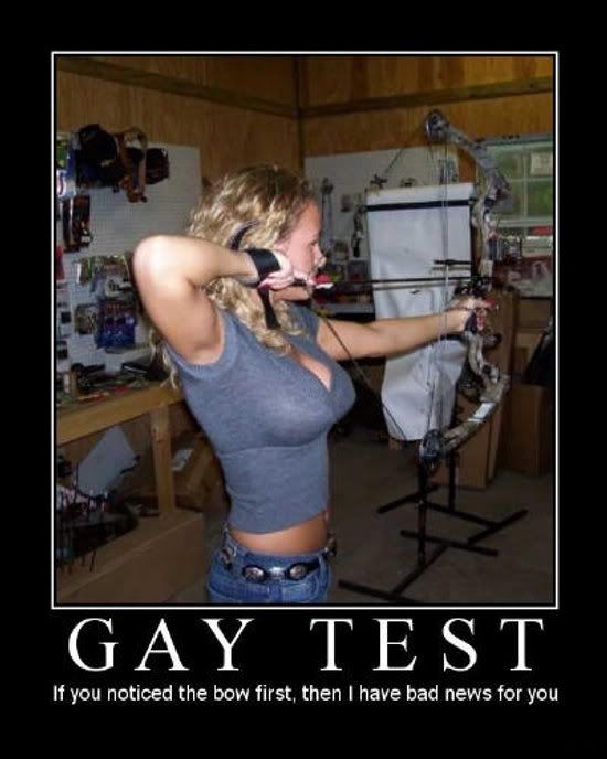 gaytest2-1.jpg
