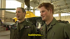 tumblr_m68aj2vJ5P1rxdlvmo3_250.gif