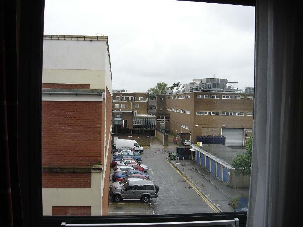 View from the back window