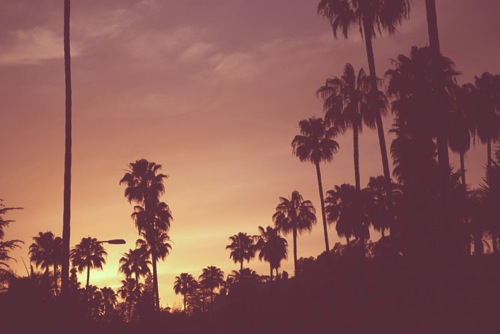 Photobucket Pictures, Images and Photos