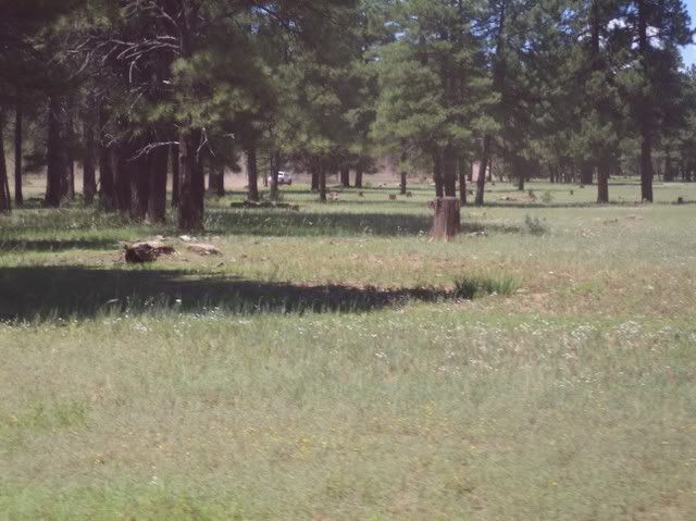 80pics019.jpg