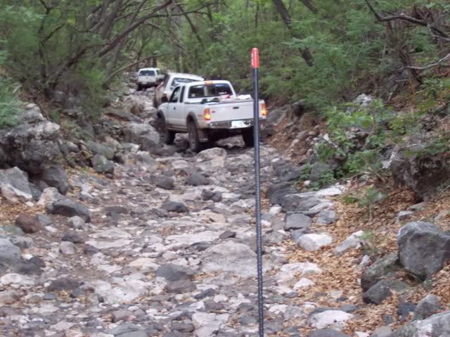 80pics030.jpg