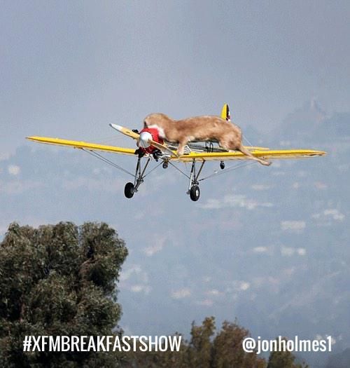 HarrisonFordCrash_zpszxfmnf3u.jpg