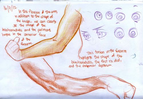 Spartan Camp #230 - 50 gestures + Optional "Long study: Knee" Spartan Camp #230 - 50 gestures + Optional "Long study: Knee"