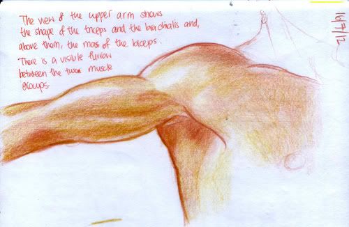 Spartan Camp #230 - 50 gestures + Optional "Long study: Knee" Spartan Camp #230 - 50 gestures + Optional "Long study: Knee"