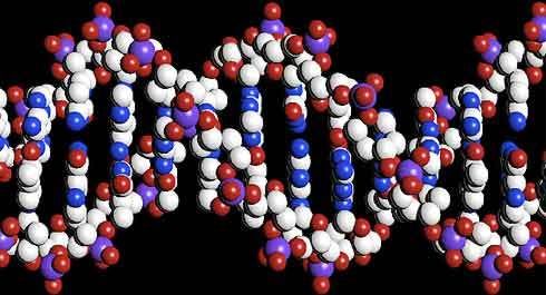 Ilustração computorizada da estrutura do ADN ou genoma humano
