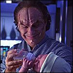 ENTAv_Phlox.jpg