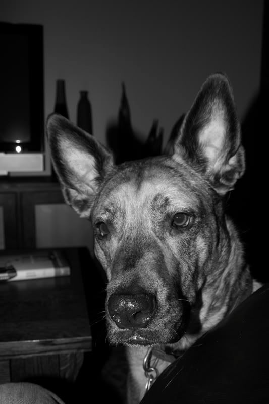 IMAGE: http://img.photobucket.com/albums/v46/solidsnake116/IMG_6457-1.jpg