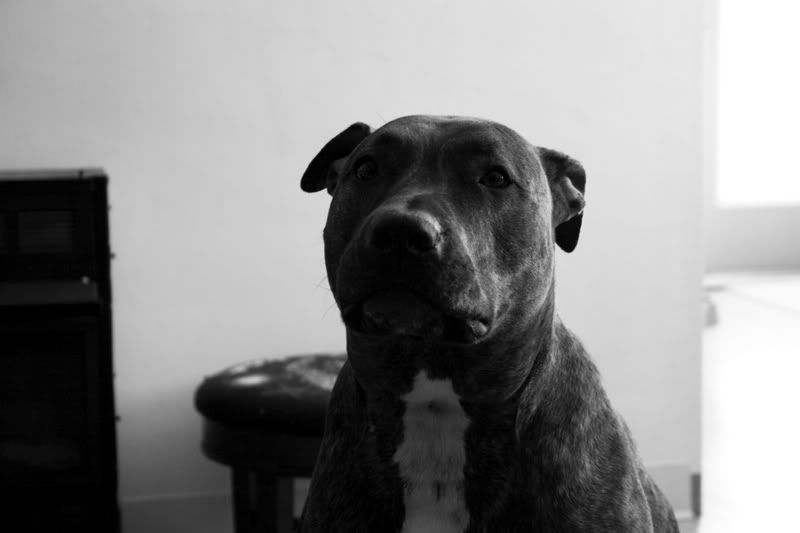 IMAGE: http://img.photobucket.com/albums/v46/solidsnake116/IMG_6697.jpg