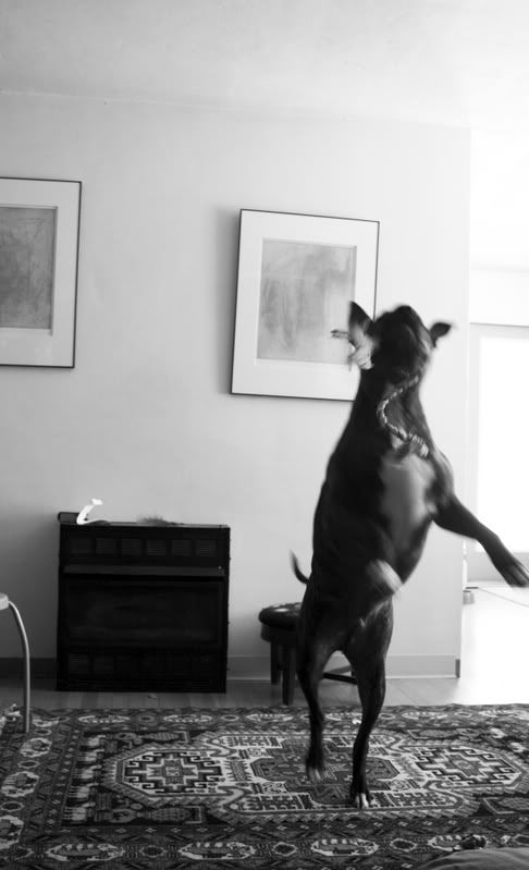 IMAGE: http://img.photobucket.com/albums/v46/solidsnake116/IMG_6703.jpg