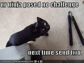 funny-pictures-your-ninja-posed-no-.jpg